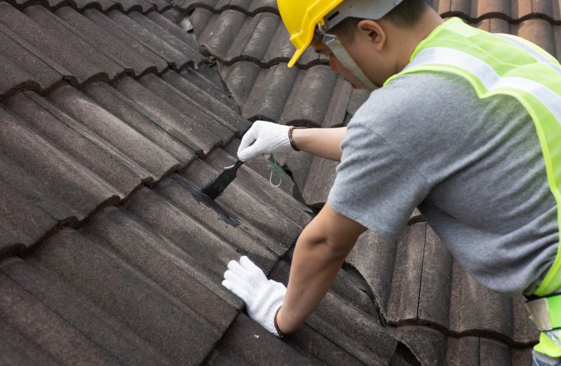 Tile Roof Painting