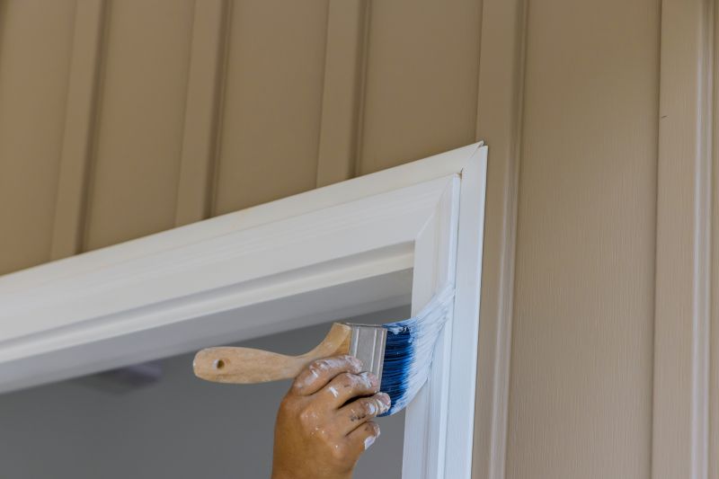 Cladding Painting in Fort Collins, CO