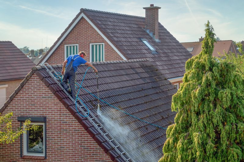Tile Roof Painting