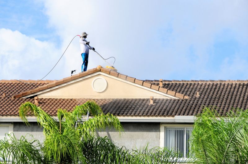 Tile Roof Painting