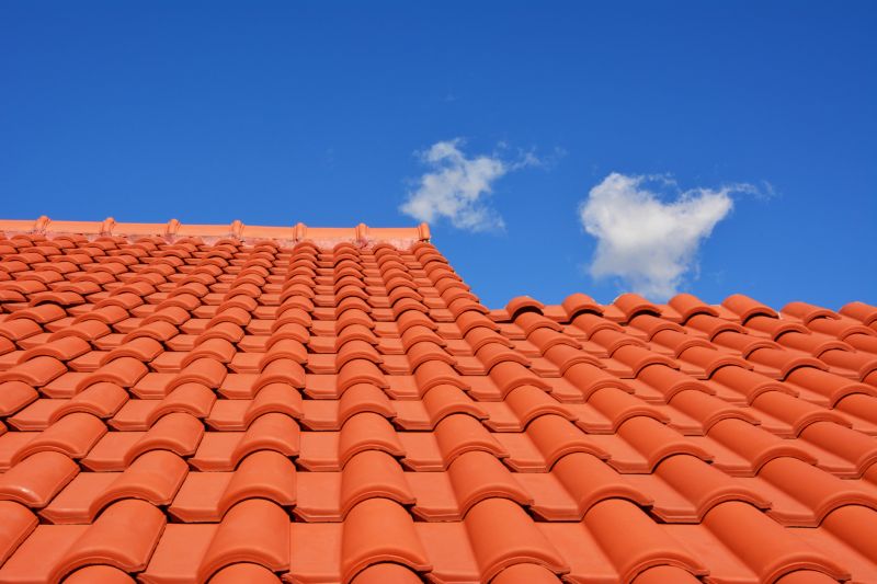 Vibrant Roof Designs