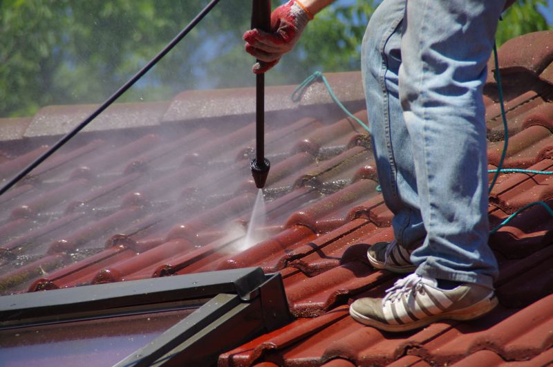 Tile Roof Painting